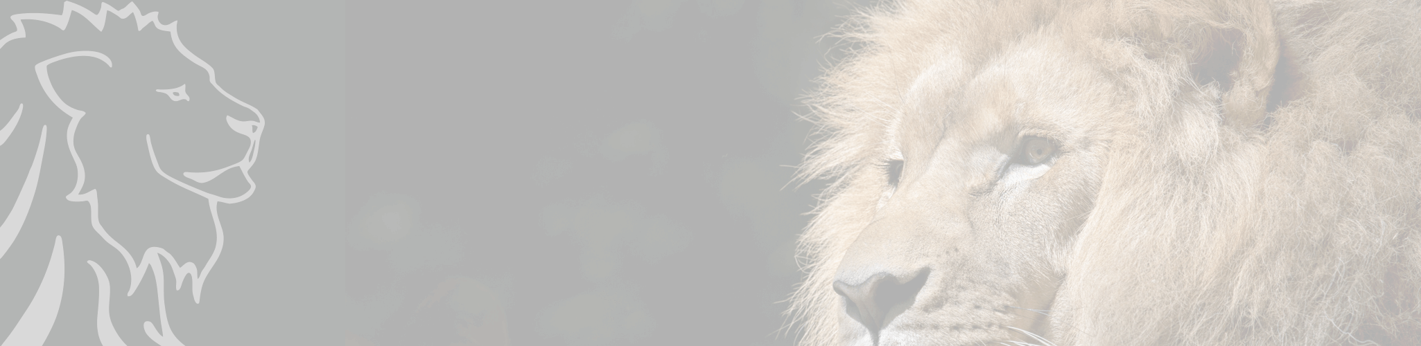 lion street page banner